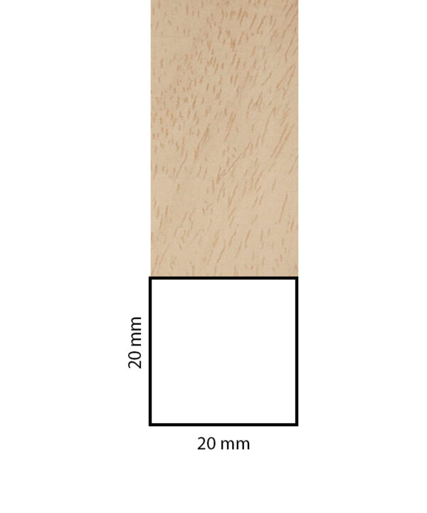 BL20X20