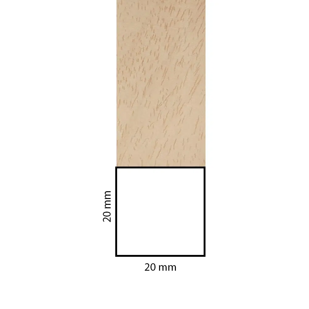 BL20X20