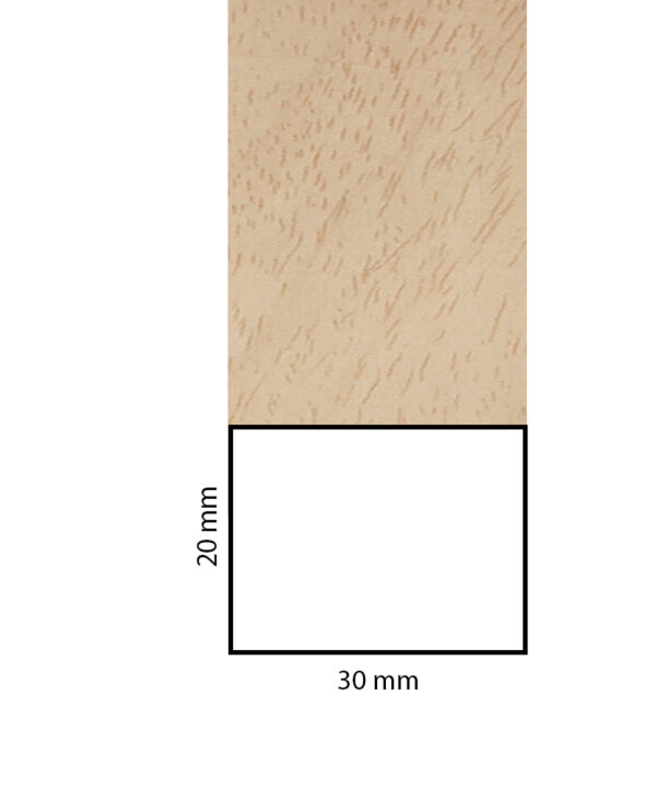 BL20X30