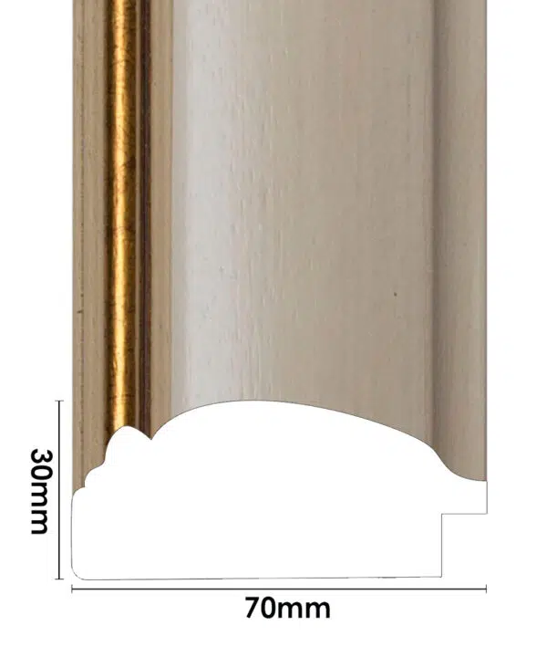 ER011FG
