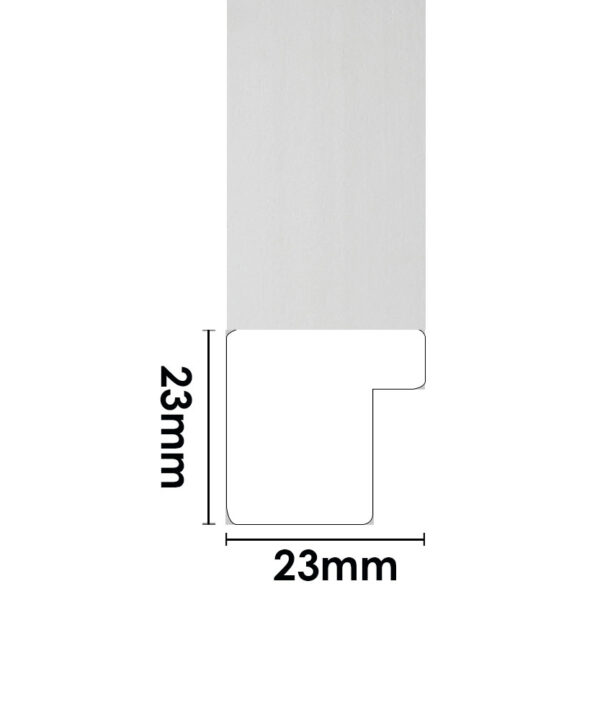 ER218W