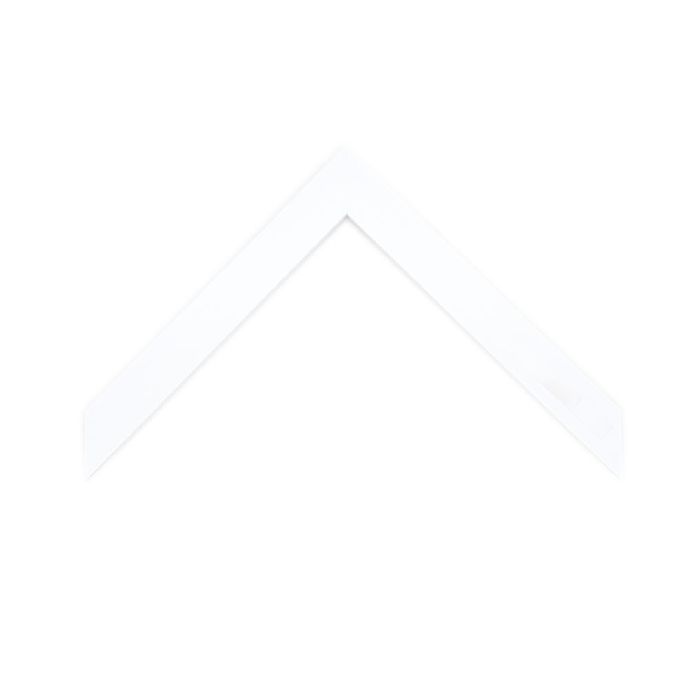 ER769W - White - Picture Frame Moulding