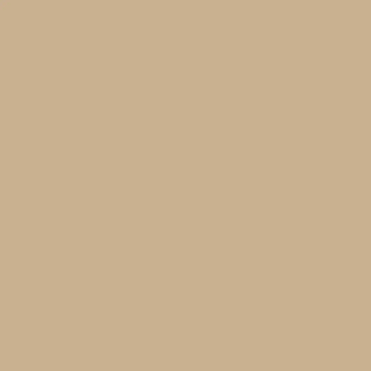 W5016 - Dark Almond Peterboro Matboard