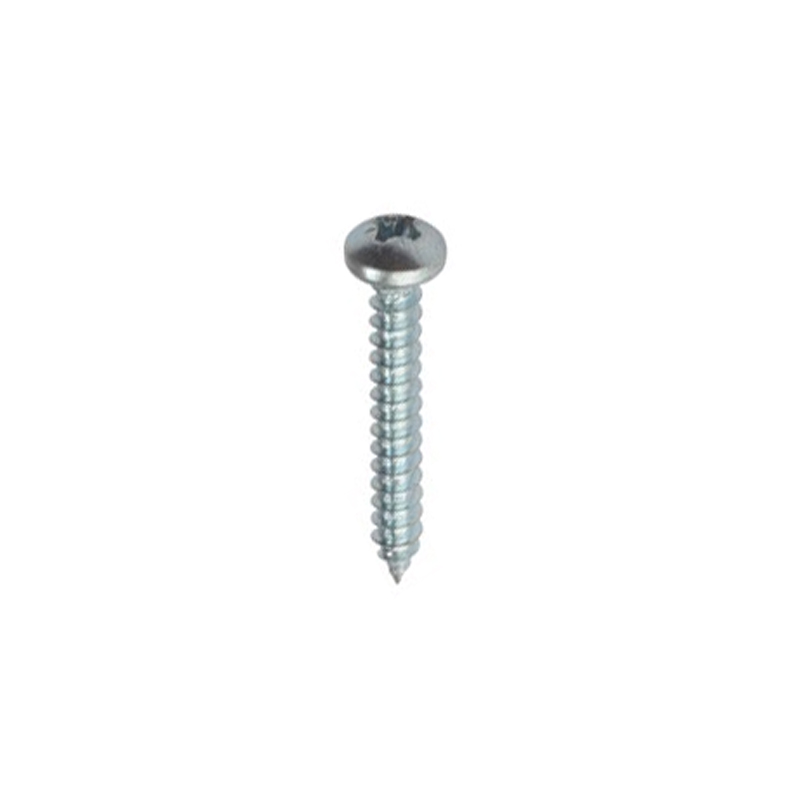 Small Steel Screws - 12 mm, 100 Pack